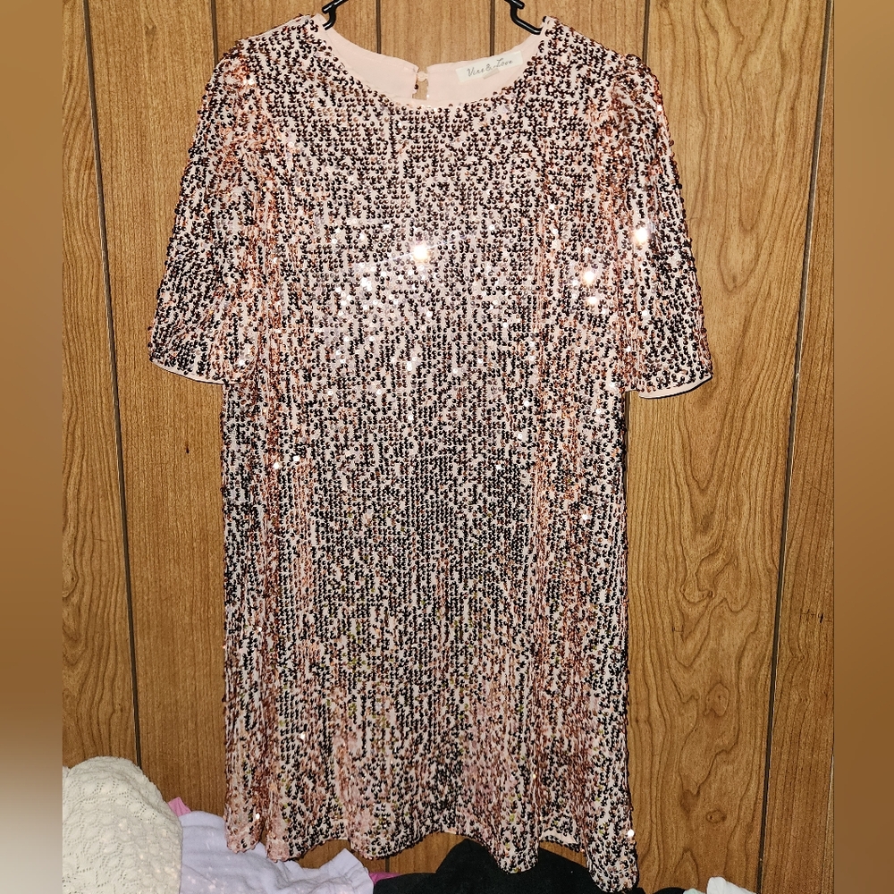 NWOT Vine & Love Shimmering Champagne Pink Sequin Dress Size L